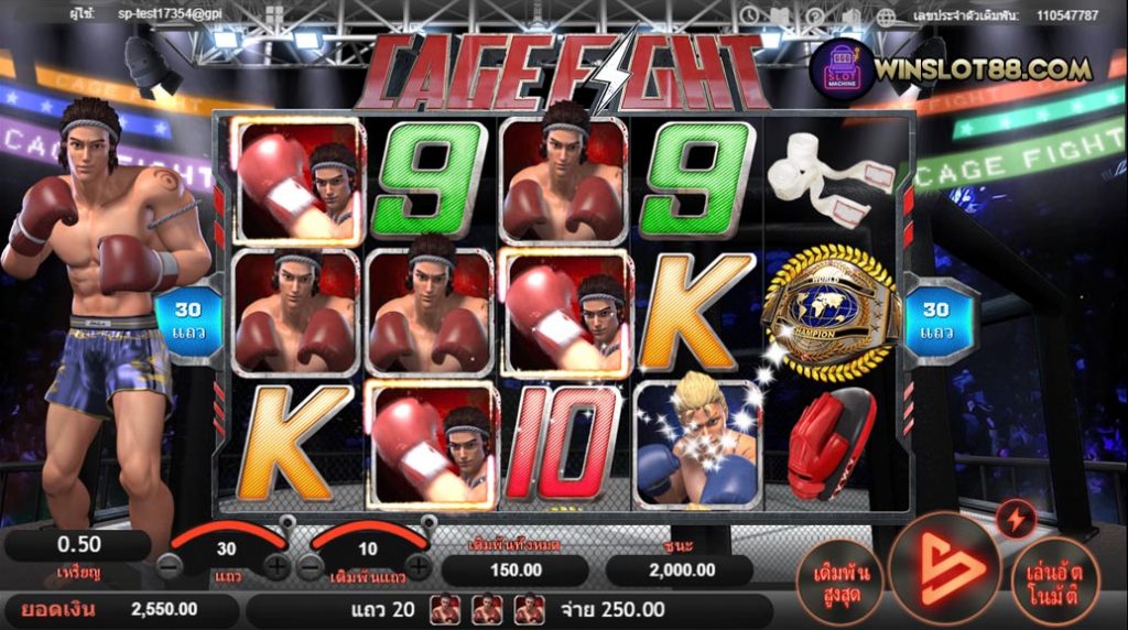 เกม cagefight